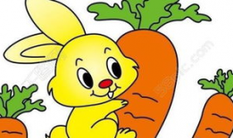 拔萝卜视频素材,一场欢乐的亲子互动之旅